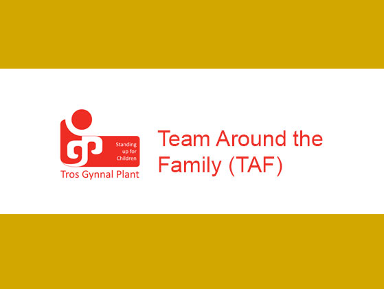 Team Around the Family (TAF)